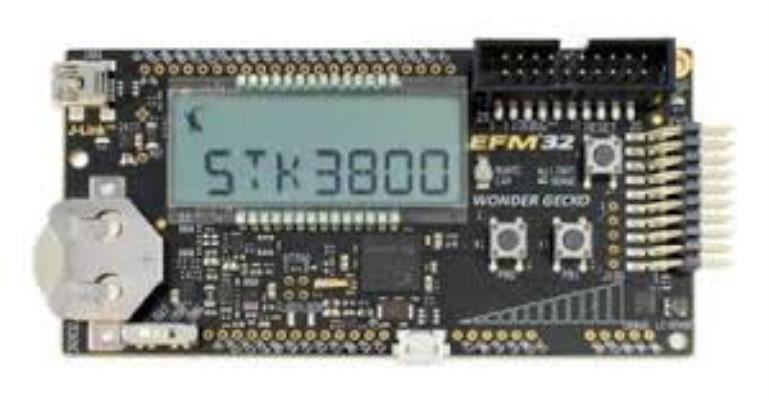 EFM32WG-STK3800